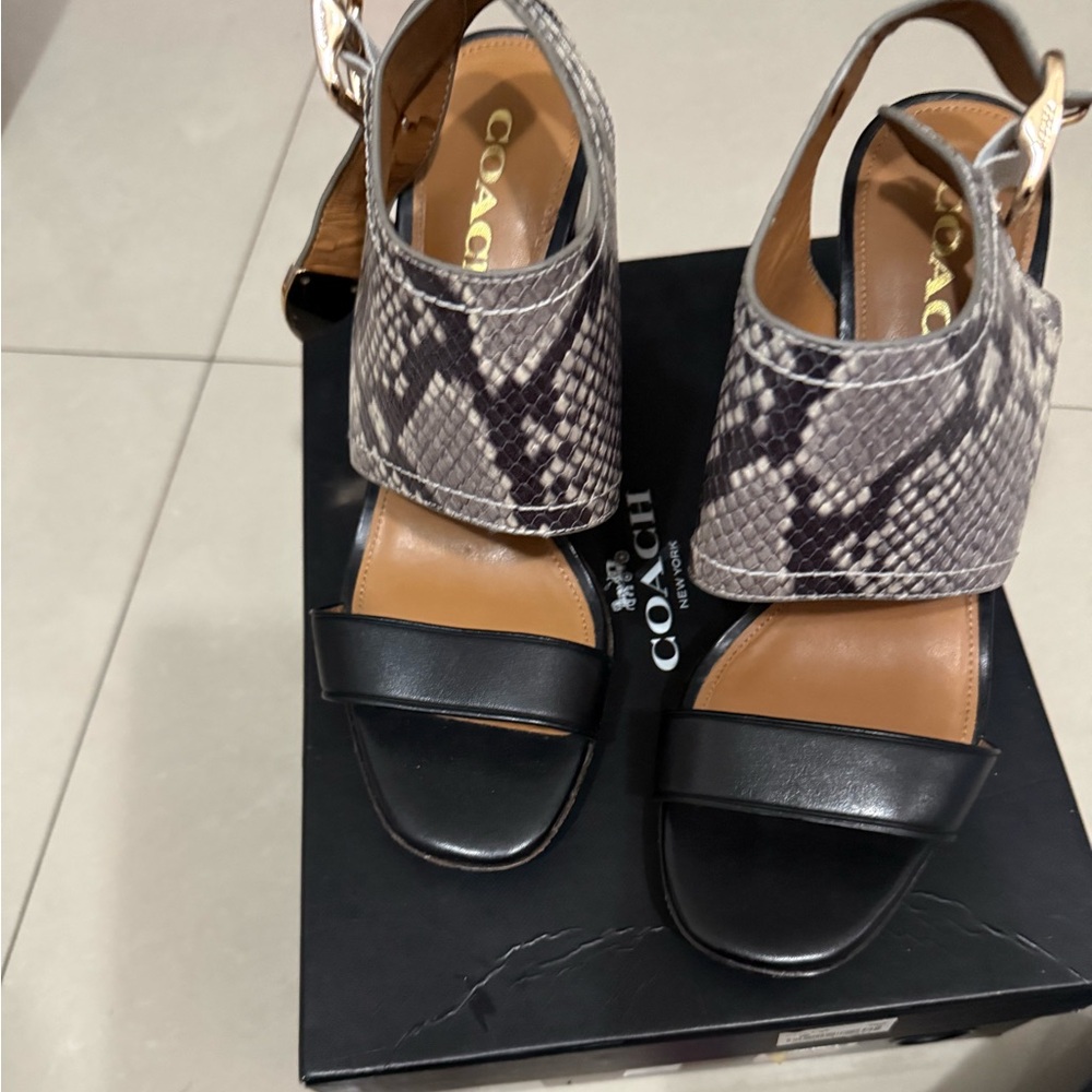 Coach Women's Black and Snake Pattern Sandals